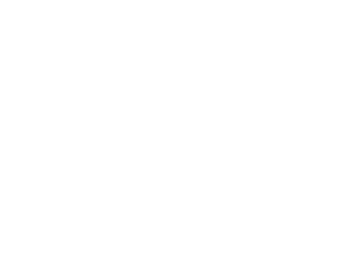 Cliente Aldo