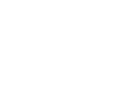 Cliente Icaro network